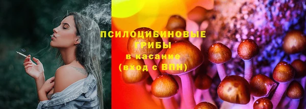 амф Белокуриха