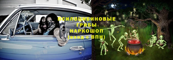 PSILOCYBIN Слюдянка
