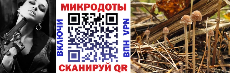 Галлюциногенные грибы прущие грибы  купить наркотик  Мелеуз 